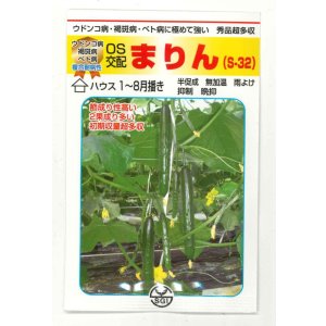 画像: 送料無料　[キュウリ]　まりん　350粒　（株）埼玉原種育成会