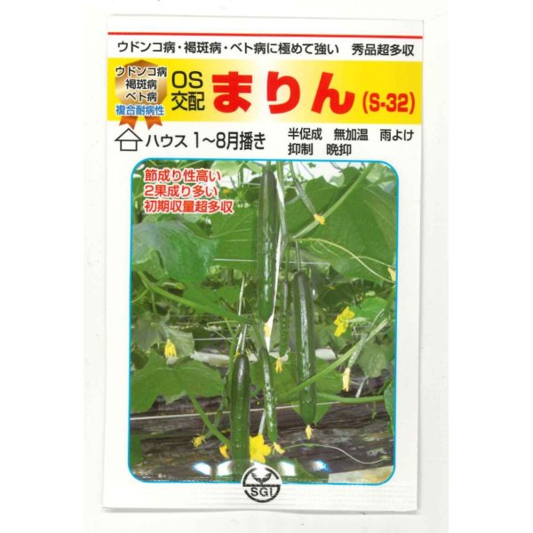 画像1: 送料無料　[キュウリ]　まりん　350粒　（株）埼玉原種育成会 (1)
