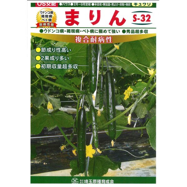画像3: 送料無料　[キュウリ]　まりん　350粒　（株）埼玉原種育成会 (3)
