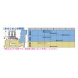 画像2: [ほうれんそう]　晩抽サマージェット　(種子サイズM)3万粒　タキイ種苗 (2)