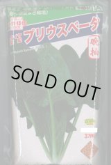 画像: [ほうれんそう]　ほうれんそう　プリウスベータ　　3万粒（種子サイズ：L）　トキタ種苗(株)