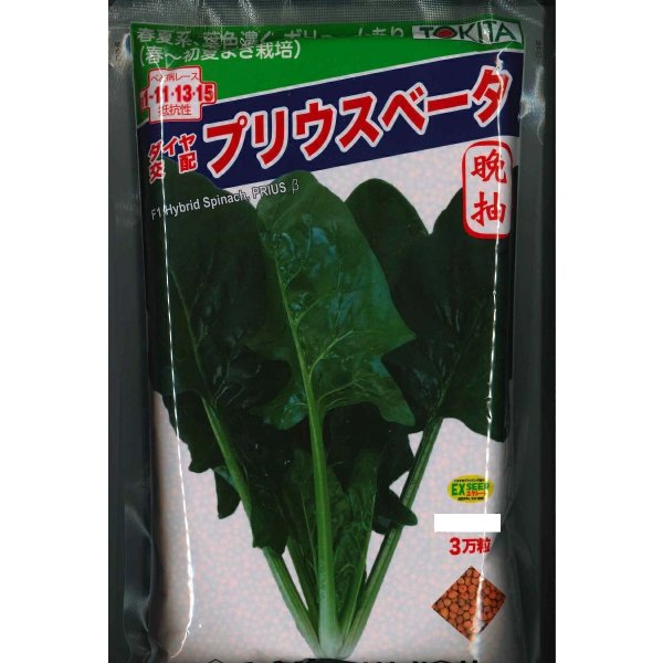 画像1: [ほうれんそう]　ほうれんそう　プリウスベータ　　3万粒（種子サイズ：L）　トキタ種苗(株) (1)