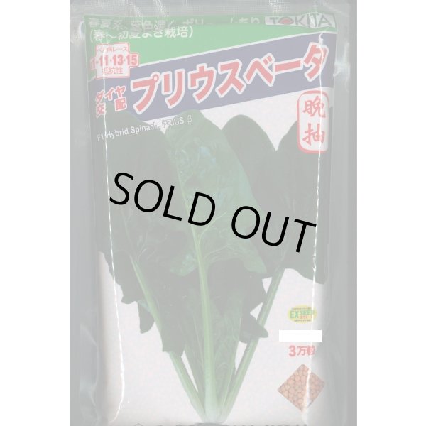 画像1: [ほうれんそう]　ほうれんそう　プリウスベータ　　3万粒（種子サイズ：L）　トキタ種苗(株) (1)