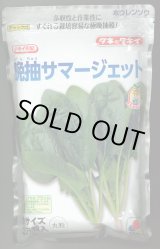 画像: [ほうれんそう]　晩抽サマージェット　(種子サイズM)3万粒　タキイ種苗(株)