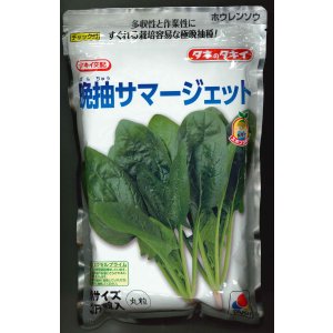 画像: [ほうれんそう]　晩抽サマージェット　(種子サイズM)3万粒　タキイ種苗(株)