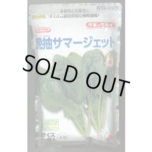 画像: [ほうれんそう]　晩抽サマージェット　(種子サイズM)3万粒　タキイ種苗(株)