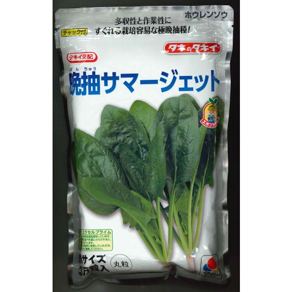 画像1: [ほうれんそう]　晩抽サマージェット　(種子サイズM)3万粒　タキイ種苗(株) (1)
