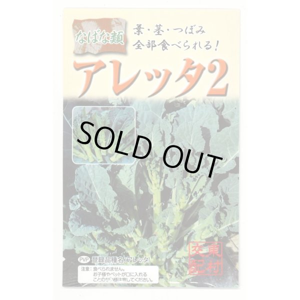 画像1: 送料無料　アレッタ2　1ml　裸種子(およそ150粒)　　松永種苗（株） (1)