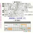 画像2: 送料無料　アレッタ2　1ml　裸種子(およそ150粒)　　松永種苗（株） (2)
