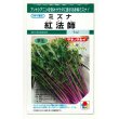 画像1: 送料無料　[葉物]　水菜　紅法師　5ml　タキイ種苗(株)GF (1)