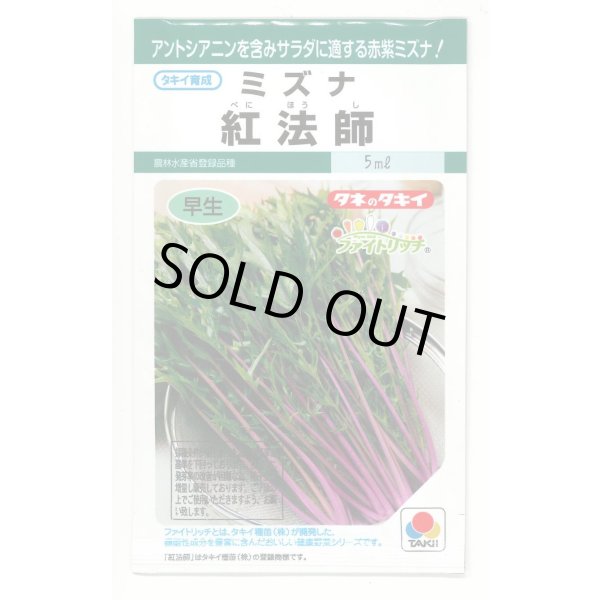 画像1: 送料無料　[葉物]　水菜　紅法師　5ml　タキイ種苗(株)GF (1)