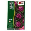 画像1: 送料無料　花の種　葉牡丹　プラチナケールF1　グロッシーレッド　15粒　タキイ種苗(株)NL300 (1)