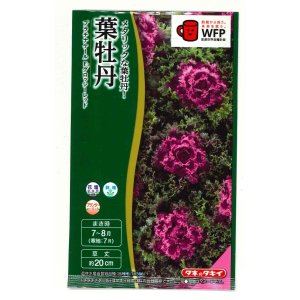 画像: 送料無料　花の種　葉牡丹　プラチナケールF1　グロッシーレッド　15粒　タキイ種苗(株)NL300