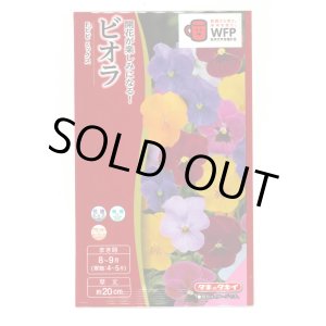 画像: 送料無料　花の種　ビオラ　F1ビビ　ミックス　小袋　タキイ種苗(株)(NL300)