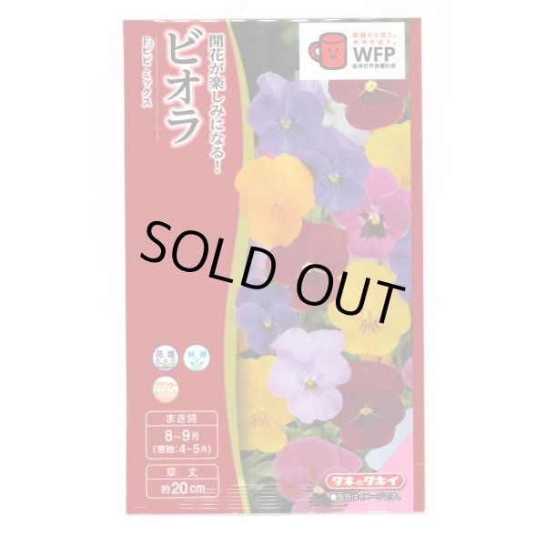 画像1: 送料無料　花の種　ビオラ　F1ビビ　ミックス　小袋　タキイ種苗(株)(NL300) (1)