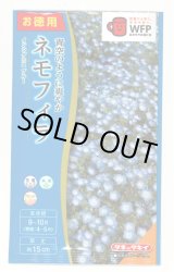 画像: 送料無料　花の種　お徳用パック！ネモフィラ　インシグニスブルー　5ml　タキイ種苗(株)NL500