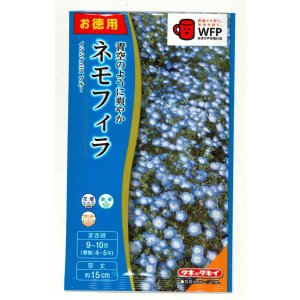画像: 送料無料　花の種　お徳用パック！ネモフィラ　インシグニスブルー　5ml　タキイ種苗(株)NL500