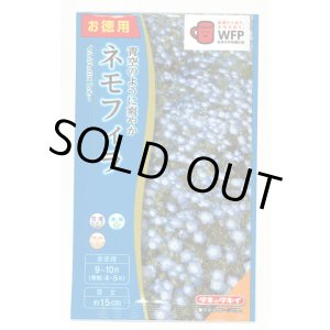 画像: 送料無料　花の種　お徳用パック！ネモフィラ　インシグニスブルー　5ml　タキイ種苗(株)NL500