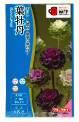 画像: 送料無料　花の種　葉牡丹　F1ラッフル　ミックス　約30粒　タキイ種苗(ＮL300)