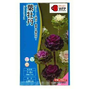 画像: 送料無料　花の種　葉牡丹　F1ラッフル　ミックス　約30粒　タキイ種苗(ＮL300)