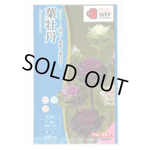 画像: 送料無料　花の種　葉牡丹　F1ラッフル　ミックス　約30粒　タキイ種苗(ＮL300)