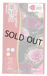 画像: 送料無料　花の種　葉牡丹　F1つぐみ混合　タキイ種苗(株)NL300