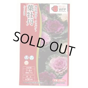 画像: 送料無料　花の種　葉牡丹　F1つぐみ混合　タキイ種苗(株)NL300