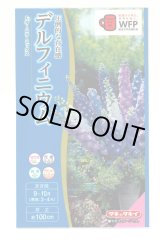 画像: 送料無料　花の種　デルフィニウム　Ｆ1オーロラミックス　0.1ml　タキイ種苗(株)NL300