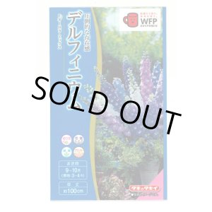 画像: 送料無料　花の種　デルフィニウム　Ｆ1オーロラミックス　0.1ml　タキイ種苗(株)NL300