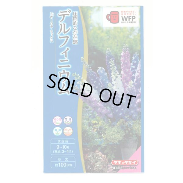 画像1: 送料無料　花の種　デルフィニウム　Ｆ1オーロラミックス　0.1ml　タキイ種苗(株)NL300 (1)