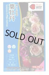 画像: 花の種　葉牡丹　プラチナケールF1　ルシールミックス　15粒