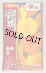 画像: 送料無料　花の種　お徳用パック！　切花向　金盞花　スター混合　タキイ種苗(株)NL500