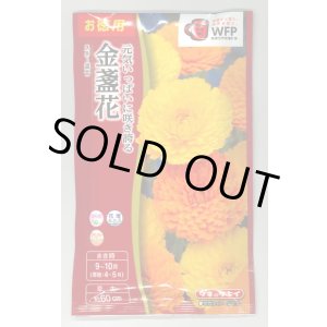 画像: 送料無料　花の種　お徳用パック！　切花向　金盞花　スター混合　タキイ種苗(株)NL500