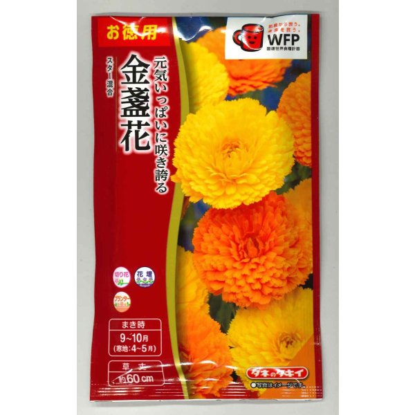 画像1: 送料無料　花の種　お徳用パック！　切花向　金盞花　スター混合　タキイ種苗(株)NL500 (1)