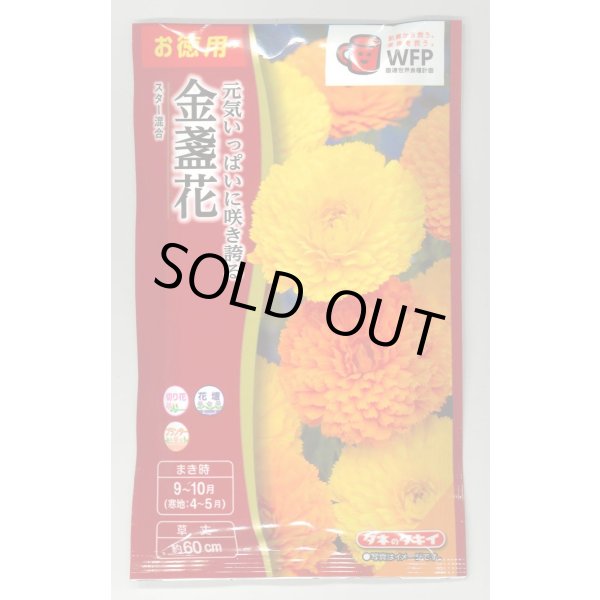画像1: 送料無料　花の種　お徳用パック！　切花向　金盞花　スター混合　タキイ種苗(株)NL500 (1)