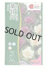 画像: 送料無料　花の種　葉牡丹　F1　はと混合　0.5ml　タキイ種苗(株)NL300