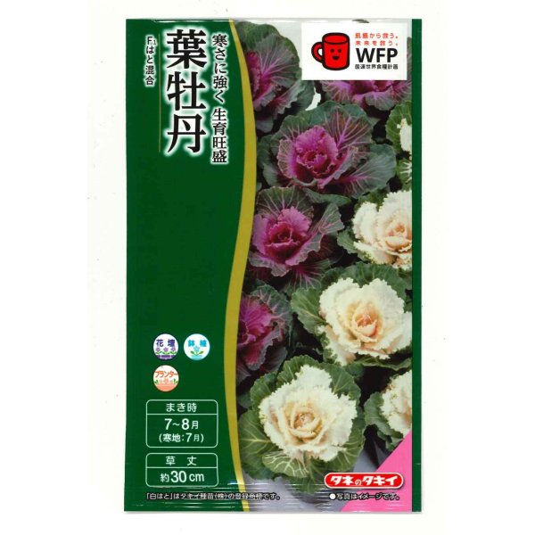 画像1: 送料無料　花の種　葉牡丹　F1　はと混合　0.5ml　タキイ種苗(株)NL300 (1)