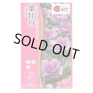 画像: 送料無料　花の種　葉牡丹　F1　フレアローズ　タキイ種苗(株)NL300