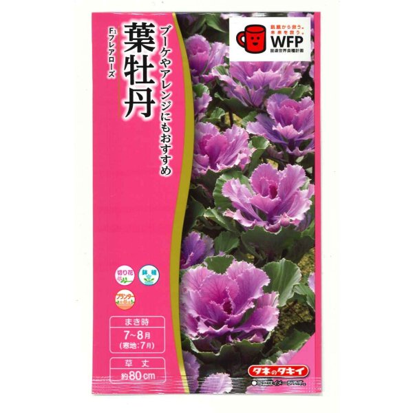画像1: 送料無料　花の種　葉牡丹　F1　フレアローズ　タキイ種苗(株)NL300 (1)
