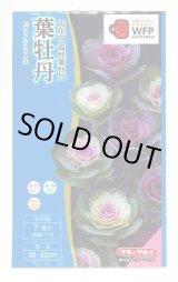 画像: 送料無料　花の種　葉牡丹　ファインミックス　タキイ種苗(株)NL300