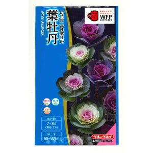 画像: 送料無料　花の種　葉牡丹　ファインミックス　タキイ種苗(株)NL300