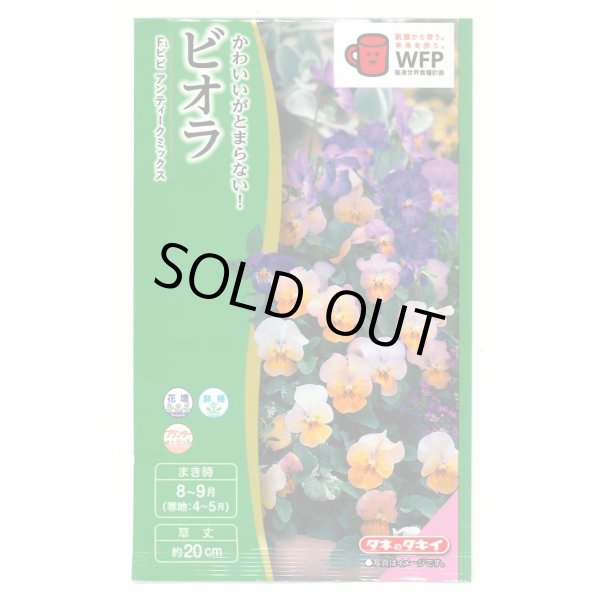 画像1: 送料無料　花の種　ビオラ　F1ビビ　アンティークミックス　小袋　タキイ種苗(株)NL300 (1)