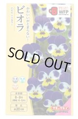 画像: 送料無料　花の種　ビオラ　Ｆ1ビビ　トリカラー　タキイ種苗(株)NL300
