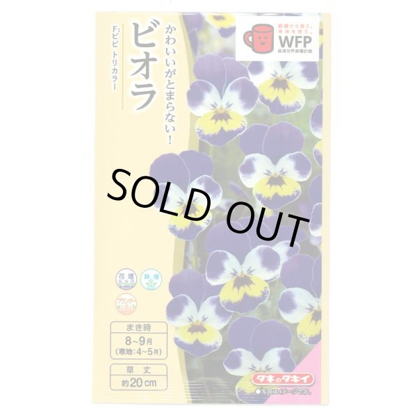 画像1: 送料無料　花の種　ビオラ　Ｆ1ビビ　トリカラー　タキイ種苗(株)NL300 (1)