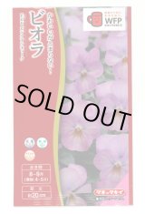 画像: 送料無料　花の種　ビオラ　Ｆ1ビビ　ピンクアンティーク　タキイ種苗(株)NL300