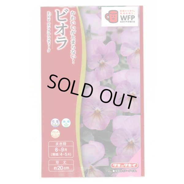 画像1: 送料無料　花の種　ビオラ　Ｆ1ビビ　ピンクアンティーク　タキイ種苗(株)NL300 (1)