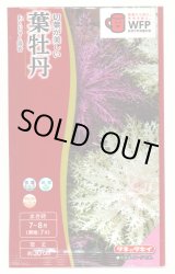 画像: 送料無料　花の種　葉牡丹　くじゃく混合　0.5ml　タキイ種苗(株)NL300