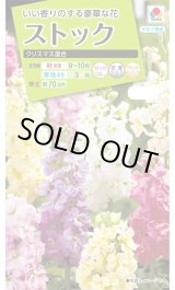 画像: 送料無料　花の種　ストック　クリスマス混合　小袋（約120粒）タキイ種苗（株）NL200