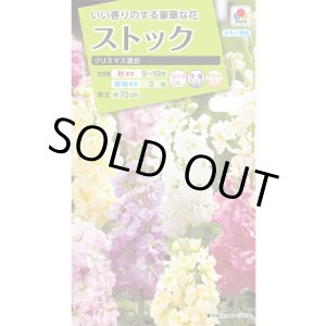 画像: 送料無料　花の種　ストック　クリスマス混合　小袋（約120粒）タキイ種苗（株）NL200
