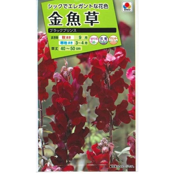 画像1: 送料無料　花の種　金魚草　ブラックプリンス　　小袋（約120粒）タキイ種苗（株）NL200 (1)